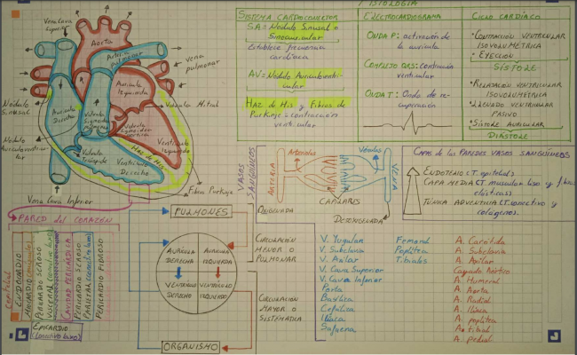 Captura de pantalla 2023-01-16 a las 14.21.46